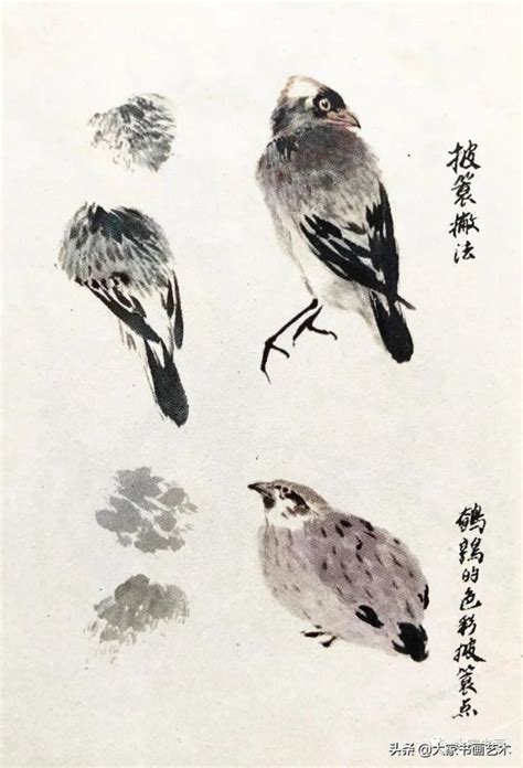 國畫鳥的畫法|【國畫鳥的畫法】國畫裡的鳥兒躍然紙上：深入解析國畫鳥的畫法。